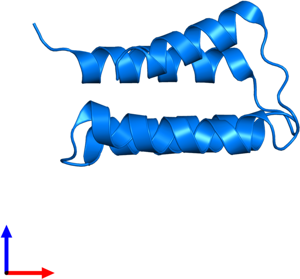 <div Class='caption-body'>pdb Entry 2zrr Contains 1 Clipart (800x800), Png Download