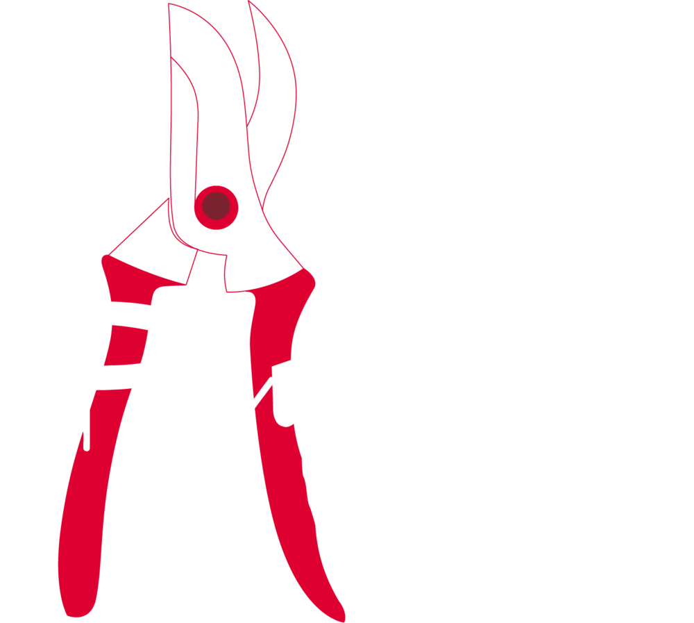 Pruning White - Illustration Clipart (1000x897), Png Download