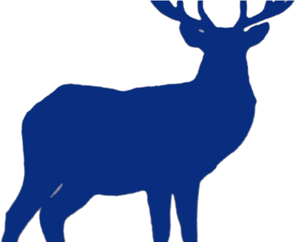 Stag Clipart Celtic - Reindeer - Png Download (640x480), Png Download