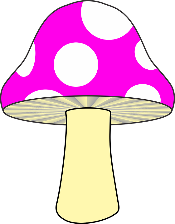 Mushroom Clipart Yellow Mushroom - Cartoon Green Mushroom - Png Download (561x720), Png Download
