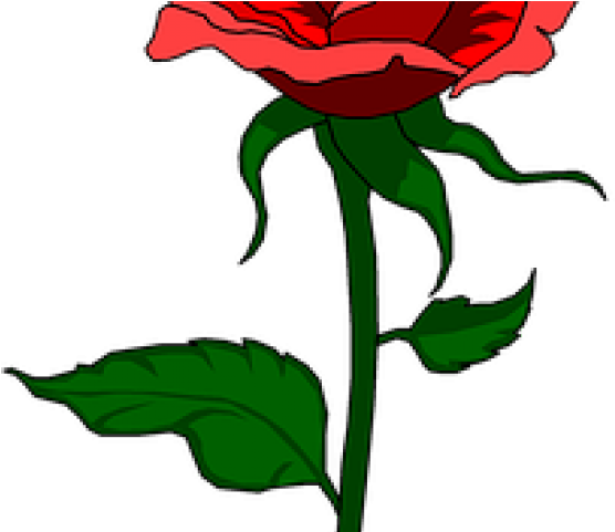 Clilp Art - Rose Cartoon Clipart (640x480), Png Download