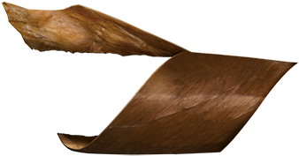 000 Cigars Made Per Day - Plywood Clipart (1000x590), Png Download