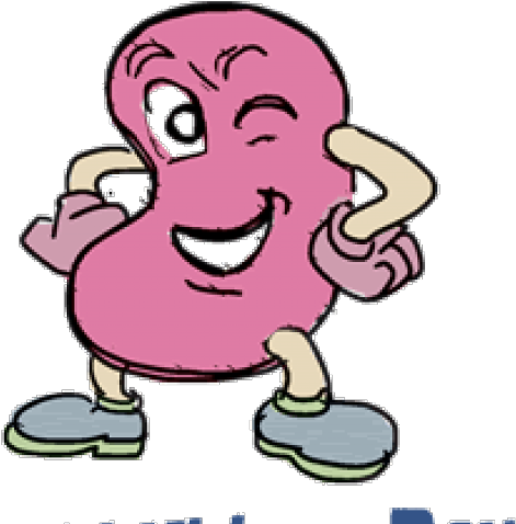 Happy Clipart Kidney - Png Download (640x480), Png Download