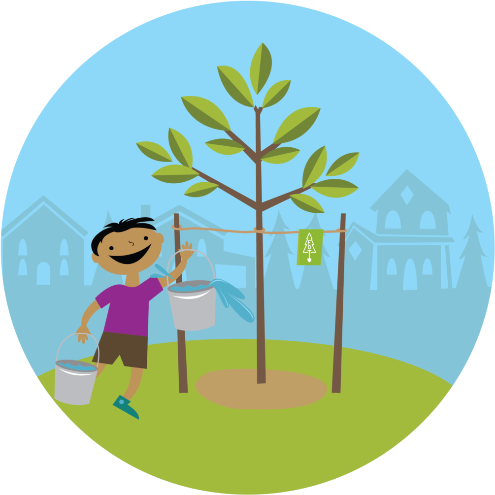 Congratulations On Planting A New Tree - Plant A Tree Png Clipart (1005x1005), Png Download