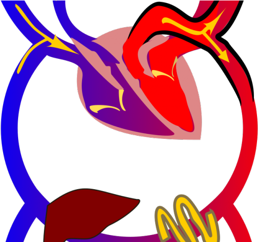 Portal Clipart Clip Art - Png Download (640x480), Png Download