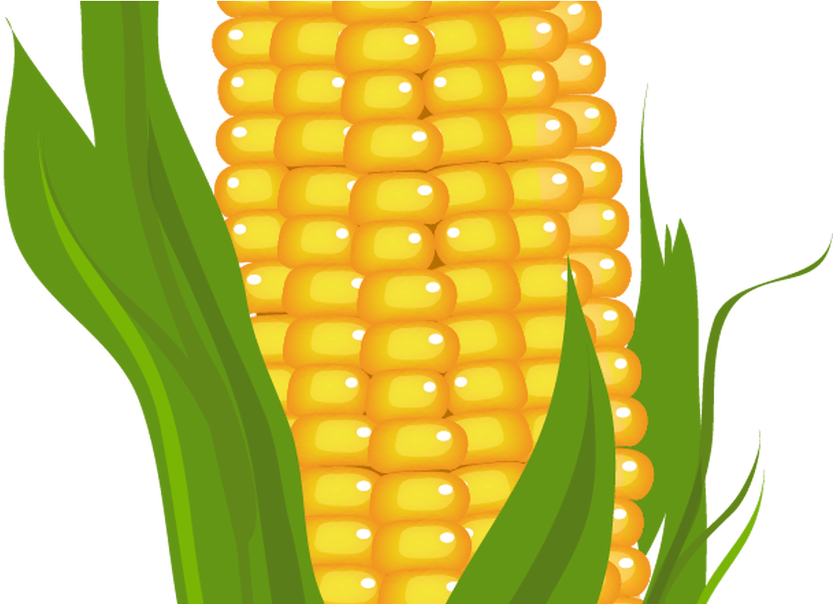 Corn Clipart Prints, Pictures And More Pinterest Frozen - Corn Clipart - Png Download (1368x855), Png Download