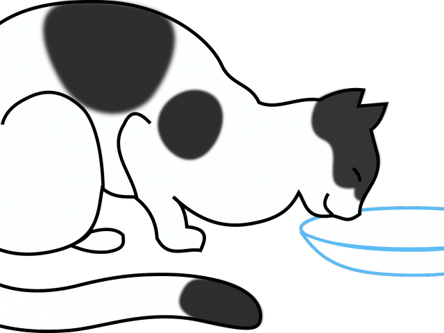 Milk Clipart Milk Drink - Cat Drinking Water Cartoon - Png Download (640x480), Png Download