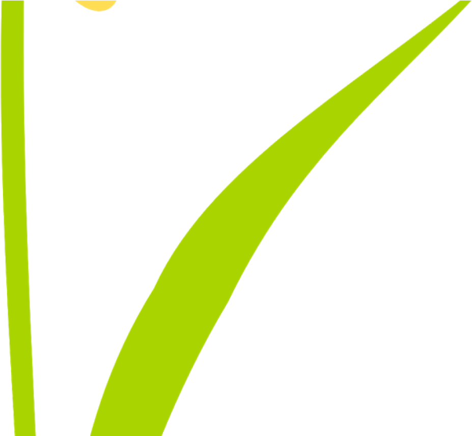 Free Scrap Flower Png Flower Scrapbooking Embellishment - Parallel Clipart (1368x855), Png Download