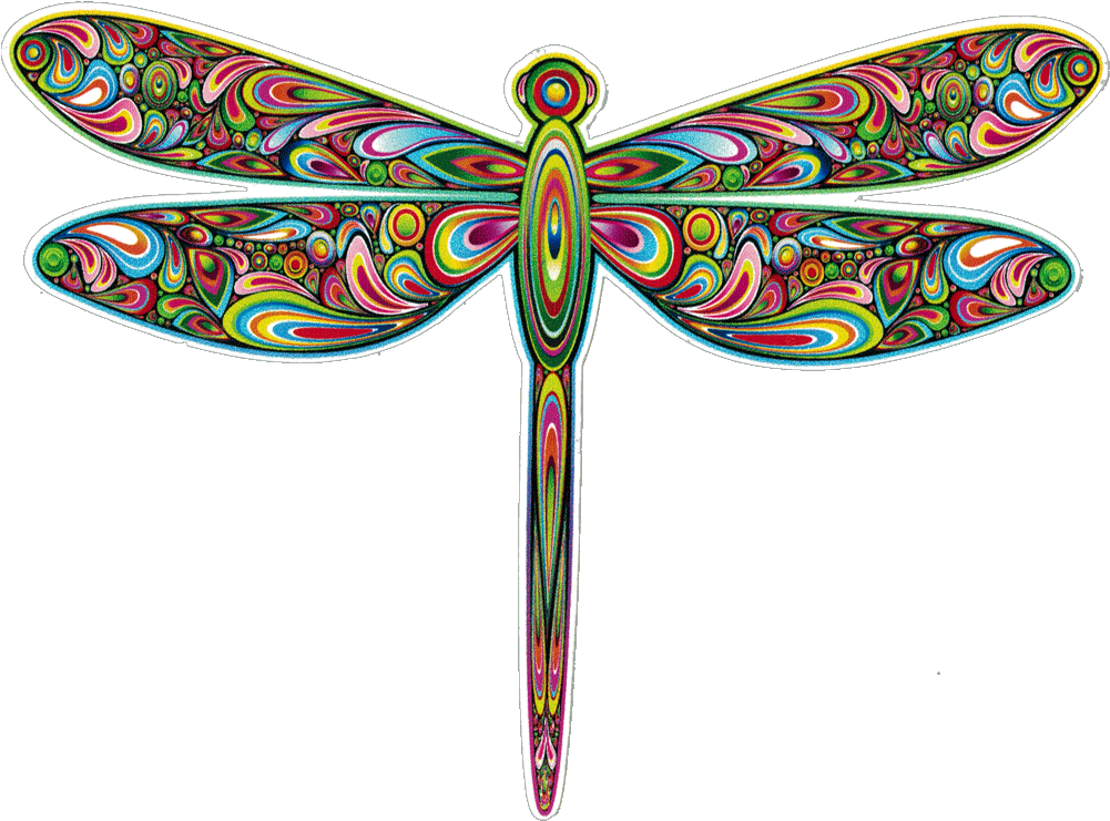 Bumper Sticker / Decal - Bright Dragonflies Clip Art - Png Download (1000x757), Png Download