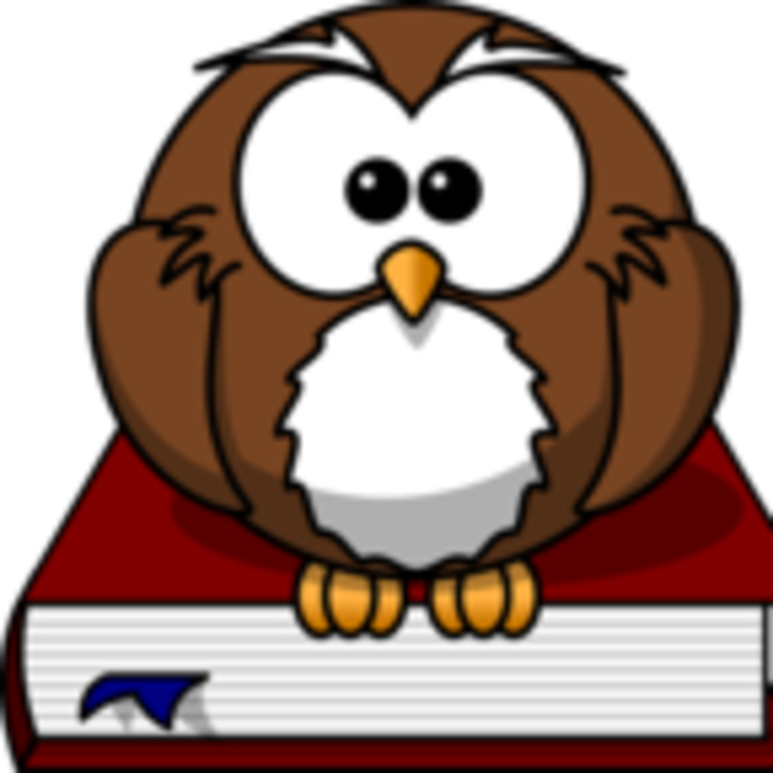 Cartoon Owl Clipart (696x696), Png Download