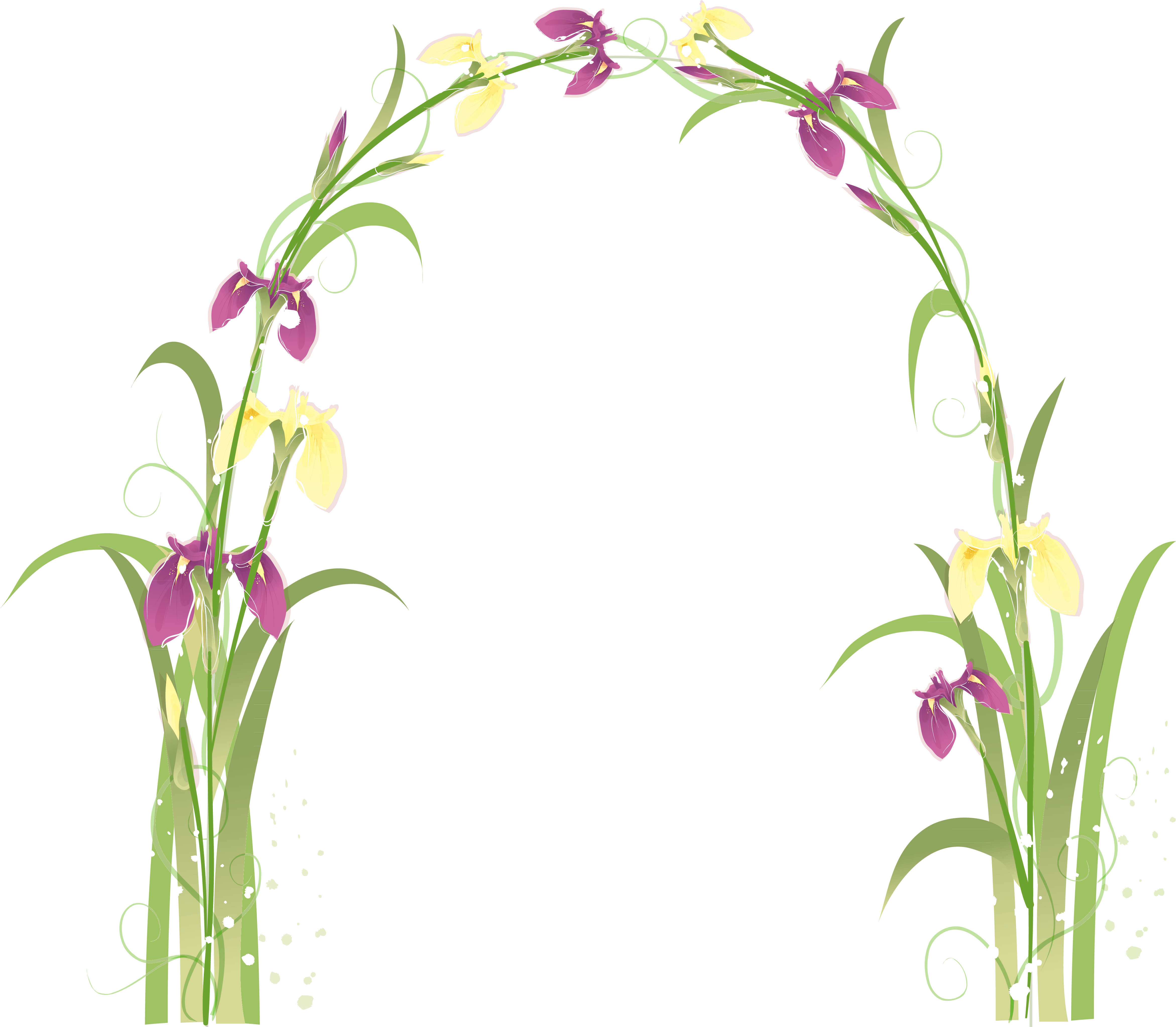 Transparent Floral Arch Png Picture Clipart (4685x4089), Png Download