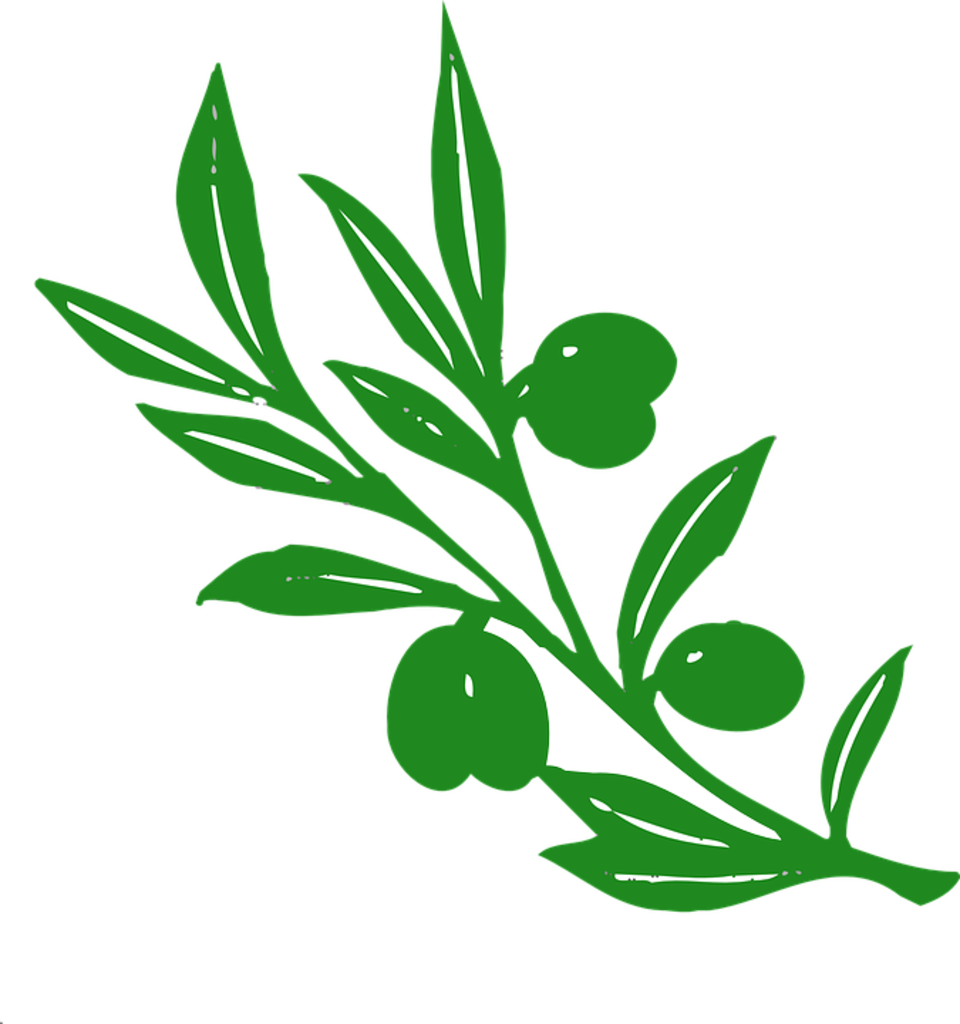 Contact Us - Olive Tree Branch Clipart (960x1024), Png Download