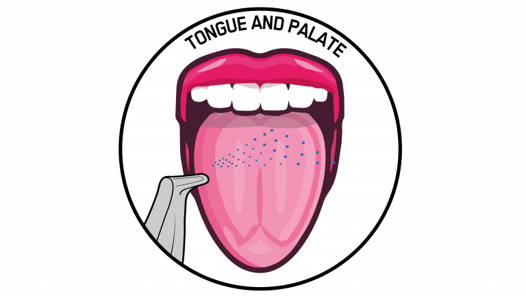 Tongue And Palate Clipart (768x432), Png Download