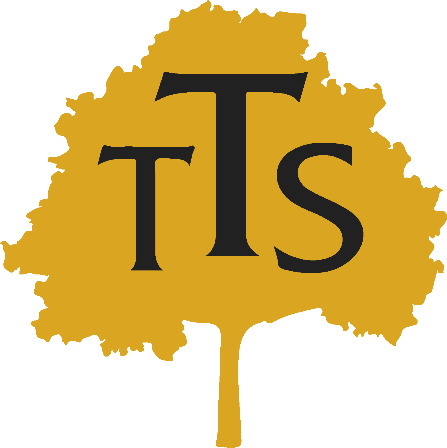 Logo - Icono De Un Arbol Clipart (1896x1896), Png Download