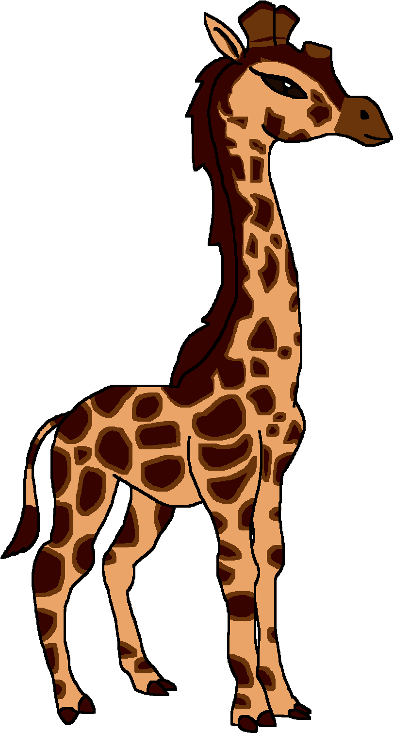 Rothschild's Giraffe - Giraffe Clipart (830x1523), Png Download