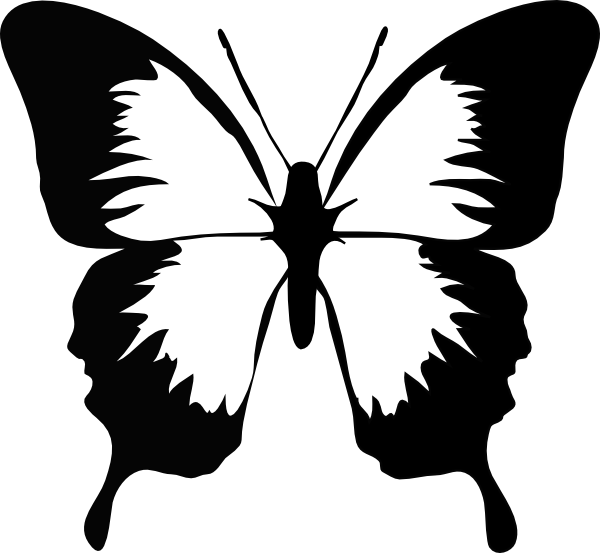Butterfly Clip Art - Png Download (600x553), Png Download