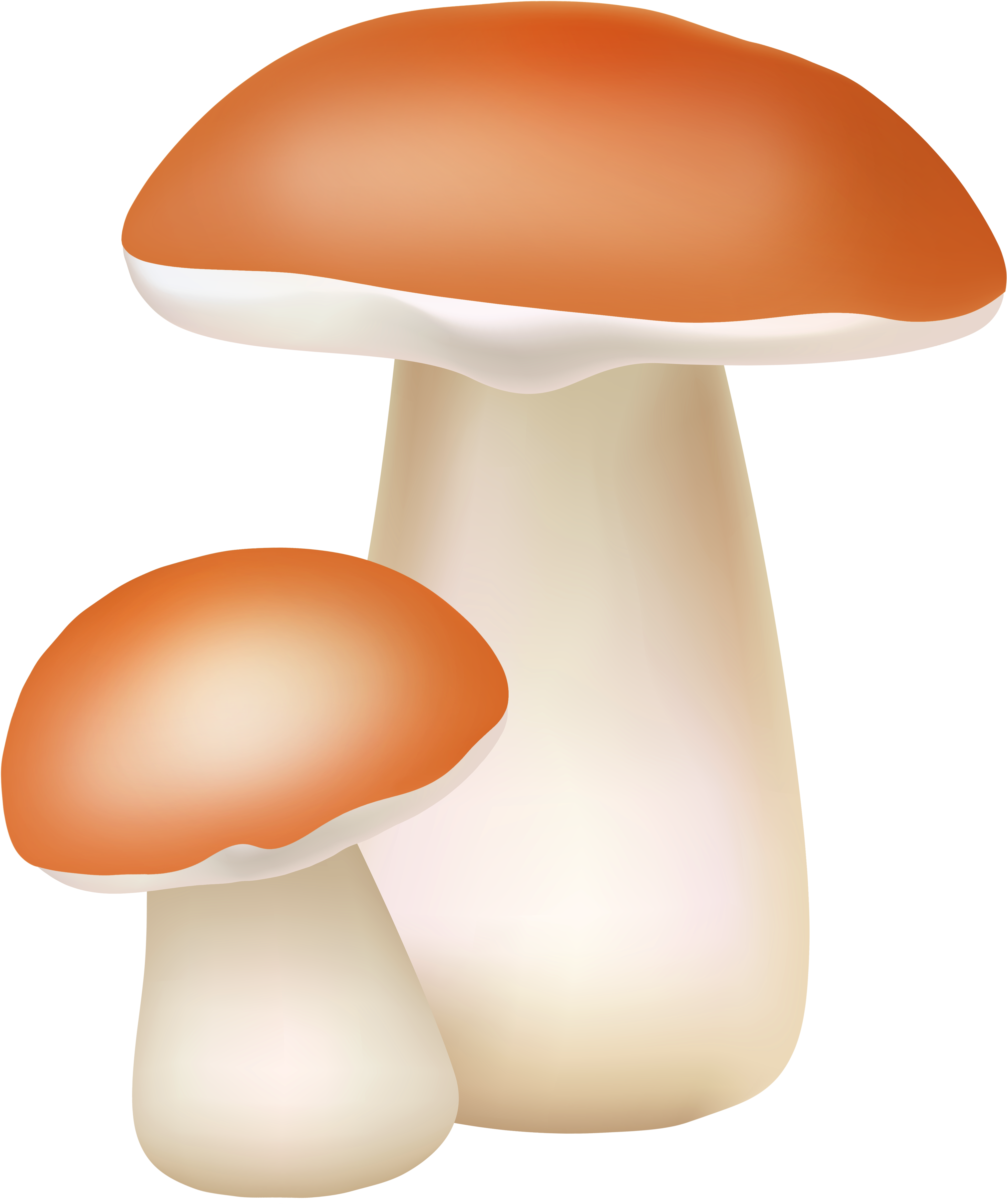 Two Mushrooms Png Cliaprt Clipart (3932x4703), Png Download