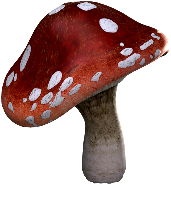 Fly Agaric, Mushrooms, Fantasy, Digital Art, Isolated - Red Mushrooms Png Clipart (960x720), Png Download