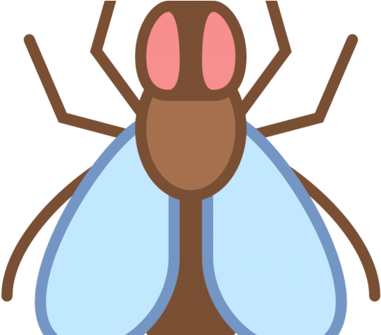 Mosquito Clipart Harm - Clip Art - Png Download (640x480), Png Download