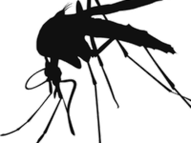 Finnish Air Force Mosquito Clipart (640x480), Png Download
