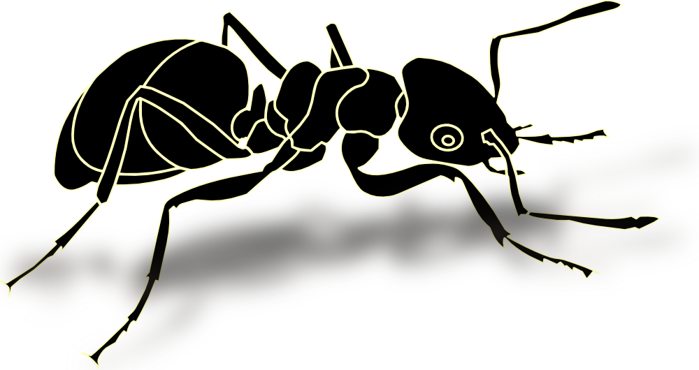 Clip Art Details - Black Ant Vector - Png Download (1000x530), Png Download