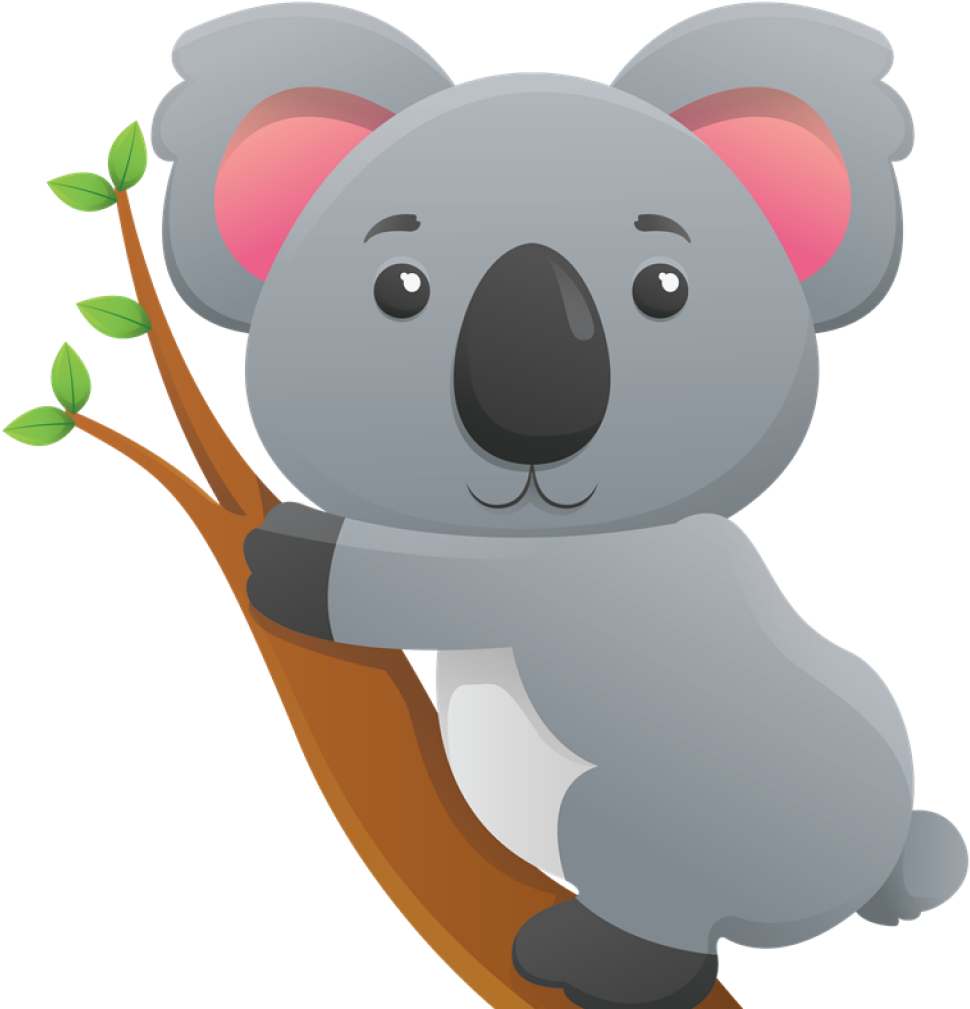 Koala Clipart - Png Download (800x933), Png Download