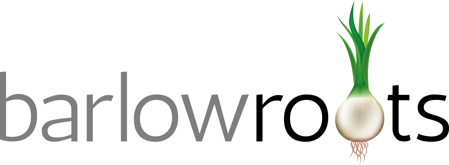 Zucchini/summer Squash On The Grill - Line Art Clipart (1500x551), Png Download