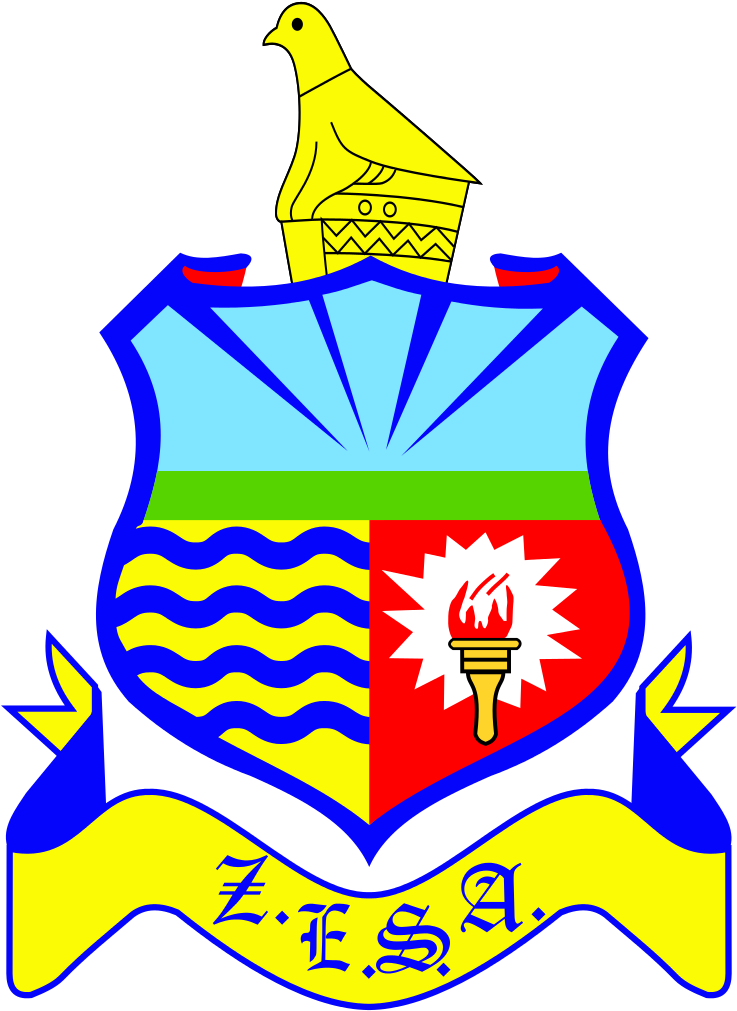 National Power Company Overview - Zesa National Training Centre Clipart (737x1023), Png Download