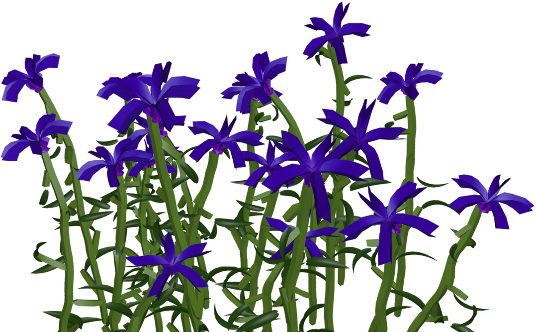 Maitland - Iris Clipart (1200x675), Png Download
