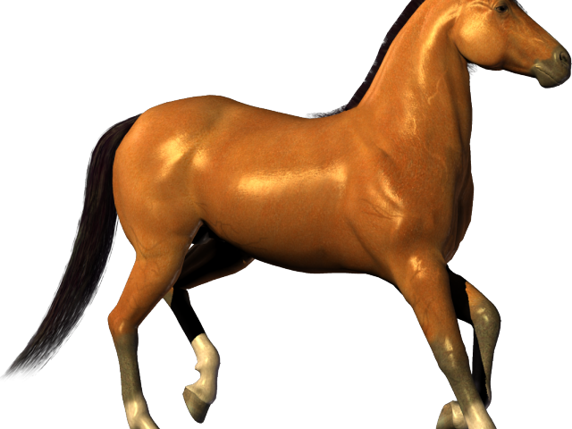 Pony Clipart Transparent Background - Clip Art - Png Download (640x480), Png Download