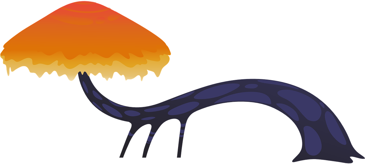 Fungus Trunk Mushroom - Portable Network Graphics Clipart (1280x640), Png Download