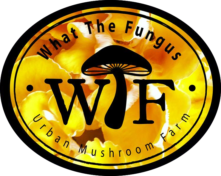 Circle Clipart (741x592), Png Download