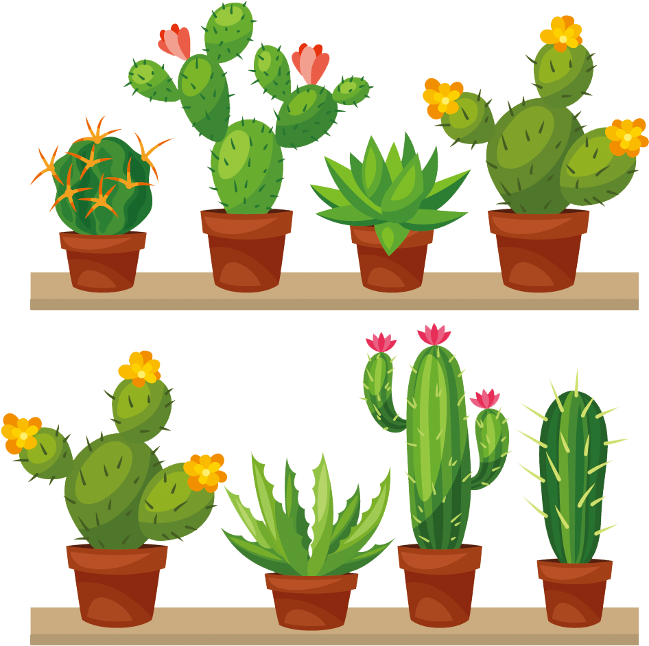 Cactus Transparent Png Clip Art Image - Mi Casa Es Su Casa Cactus (1000x1000), Png Download