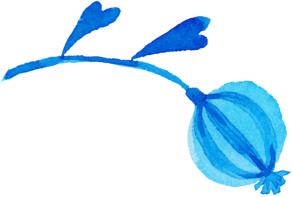 Hand Painted Poppies Decoration Vector Clipart (1024x692), Png Download