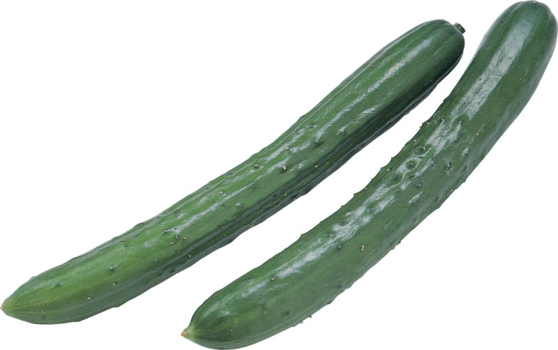 Cucumbers Png Image - Cucumber Clipart (800x502), Png Download