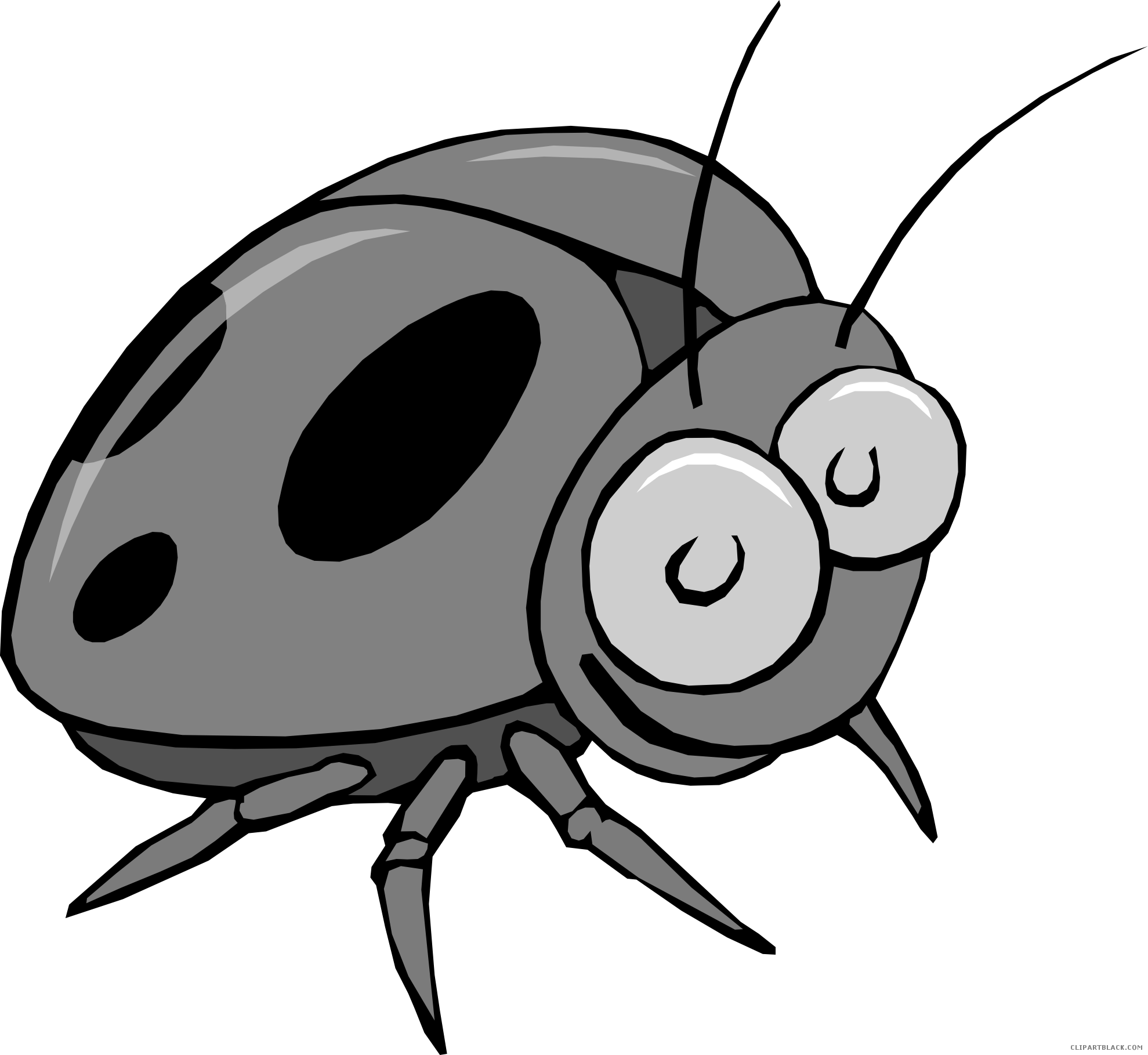 Bug картинка для детей. Bug cartoon. Жук без фона. Bug рисунок. Насекомые для дошкольников.
