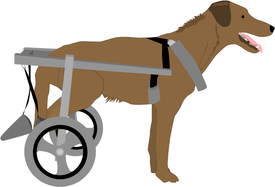 Dog With Wheelchair - Dog Yawns Clipart (1024x706), Png Download