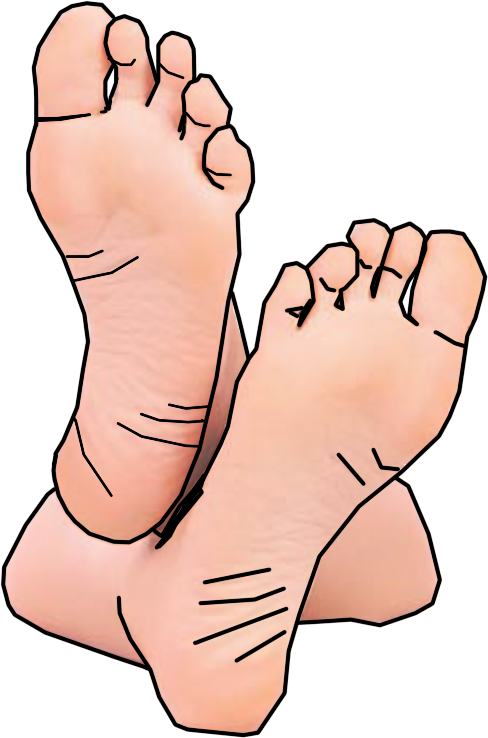 10020805 - >> - Feet Clipart - Png Download (1252x1655), Png Download