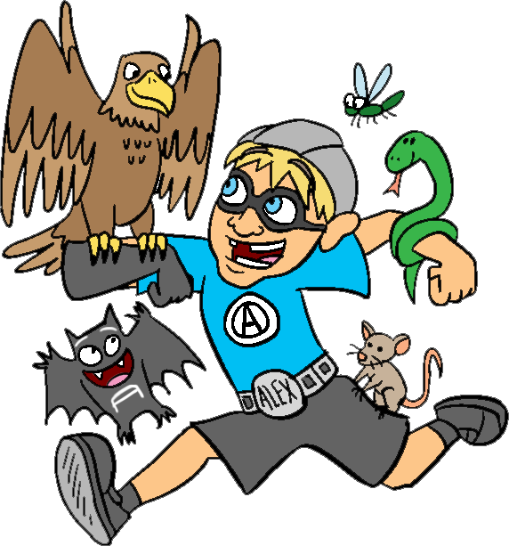 Playground - Cartoon Clipart (572x613), Png Download