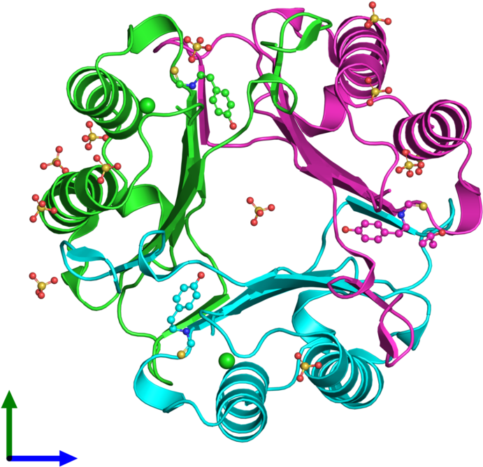 Pdb 4osf Coloured By Chain And Viewed From The Front - Illustration Clipart (800x800), Png Download