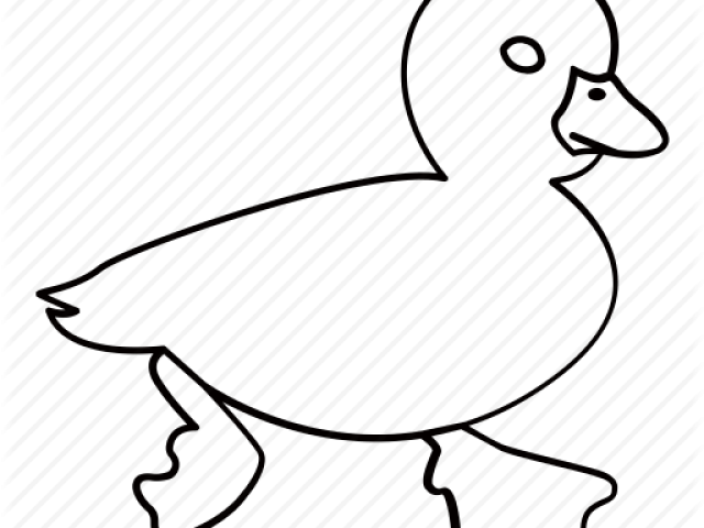 Drawn Duck Water Outline - Pato Para Colorear Clipart (640x480), Png Download