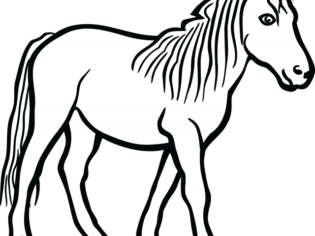 Stallion Clipart Black And White - Horse Clip Art Black And White - Png Download (640x480), Png Download