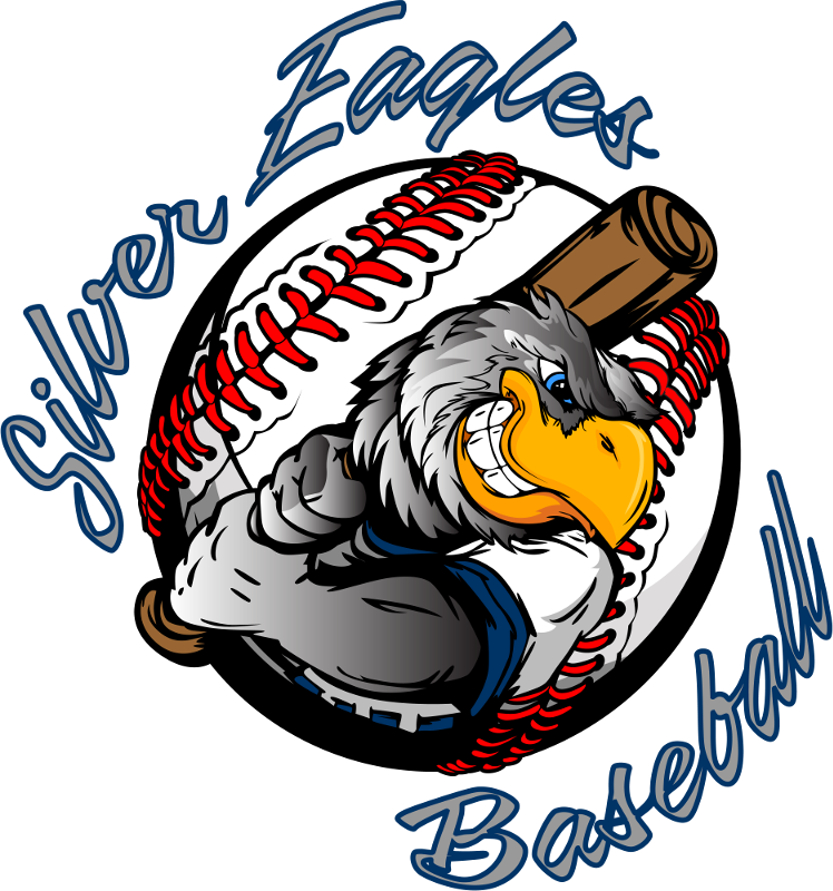 Eagle Clipart Baseball - Softball I Can Do All Things - Png Download (748x800), Png Download