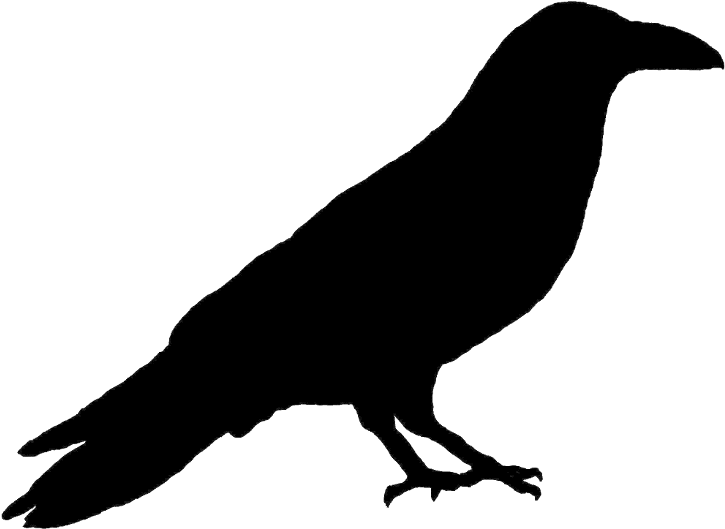 Primitive Crow Silhouette - Raven Clipart (1024x1024), Png Download