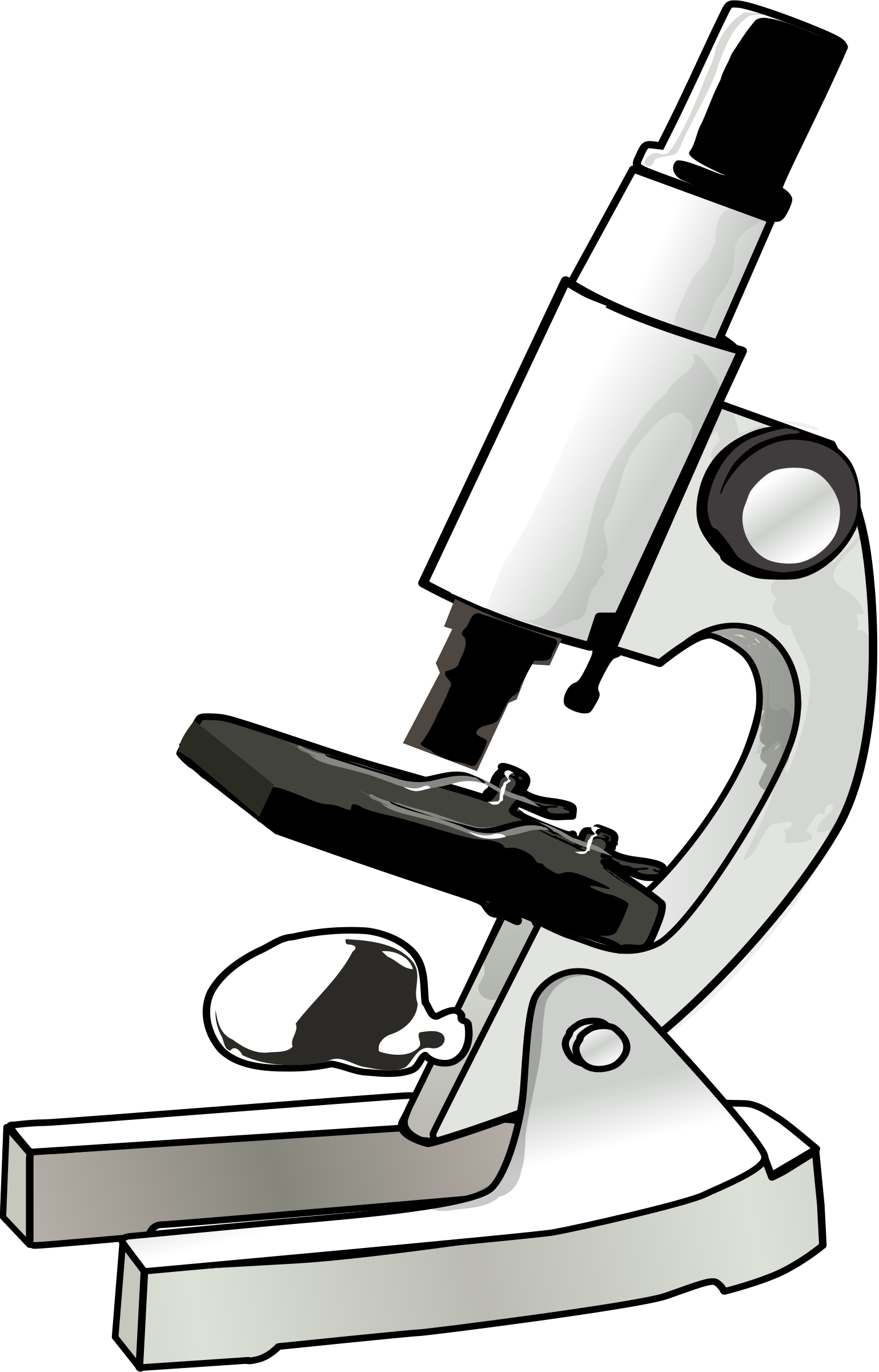Clipart Of Assure, Beth And Swift - Microscope Color - Png Download (1539x2400), Png Download