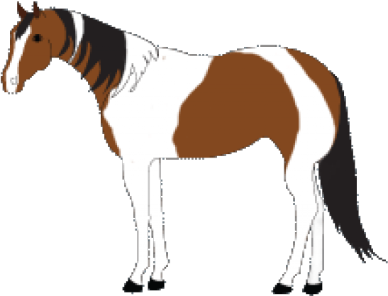 Paint Clipart Horse - Stallion - Png Download (640x480), Png Download