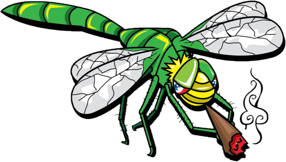 Jb Dragonfly Transparent Clipart (1000x567), Png Download