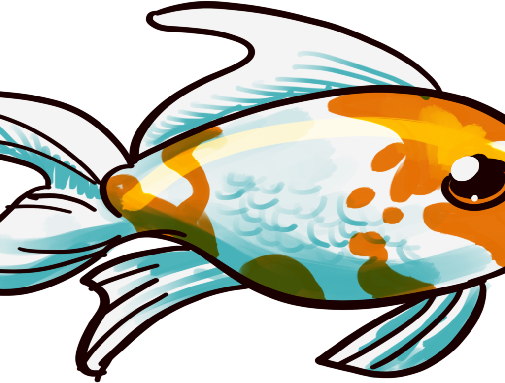 Comet Care And Info Ⓒ - Goldfish Clipart (1024x1024), Png Download