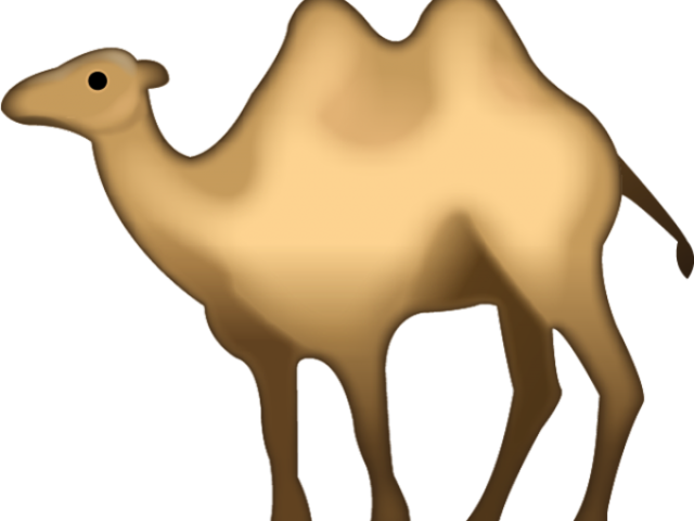 Camels Clipart File - Camel Emoji Transparent - Png Download (640x480), Png Download