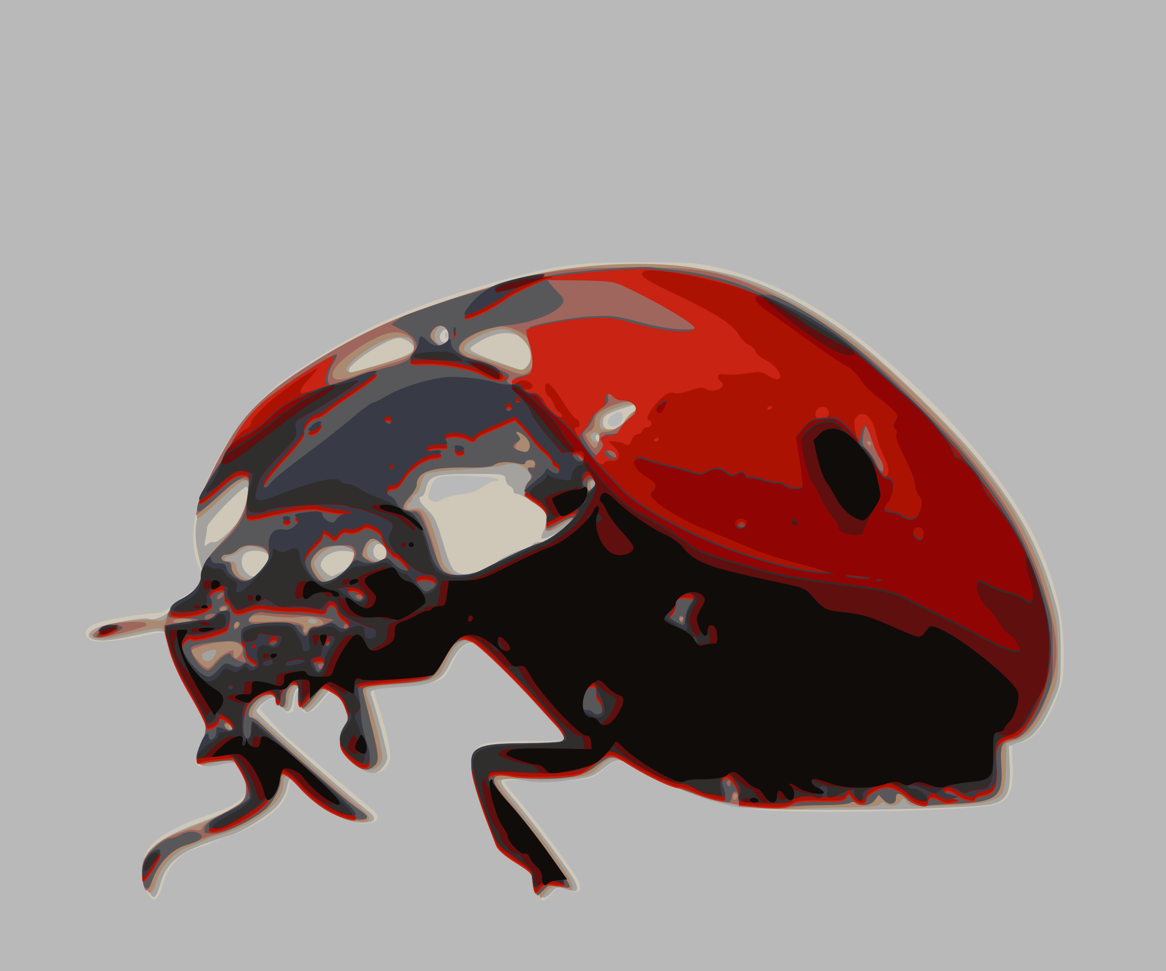 This Free Icons Png Design Of Ladybird-beetle Clipart (2400x2000), Png Download